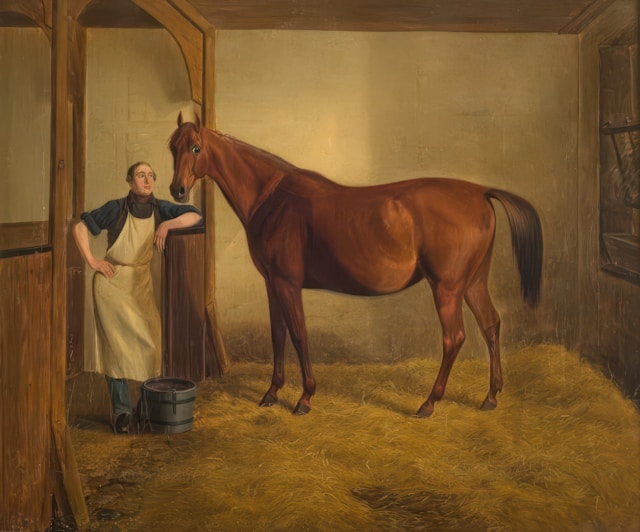 Rent hestedækken klar til brug